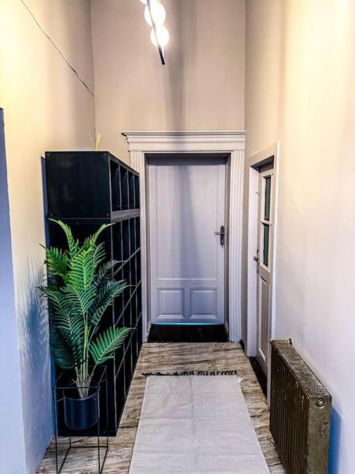 Cozy & Charming Apt. Downtown Apartamento Timişoara Exterior foto